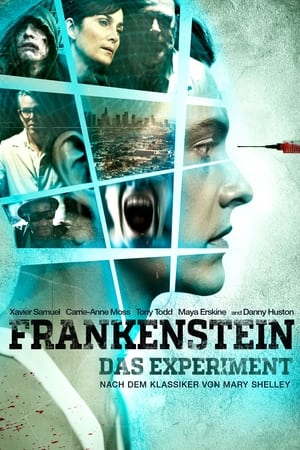 Poster Frankenstein - Das Experiment 2015
