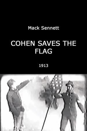 Image Cohen Saves the Flag