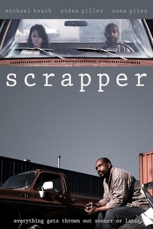 Poster Scrapper 2013