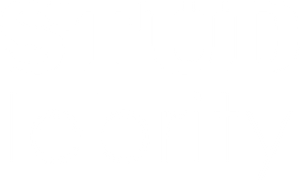 Studlebrity — Logos 1