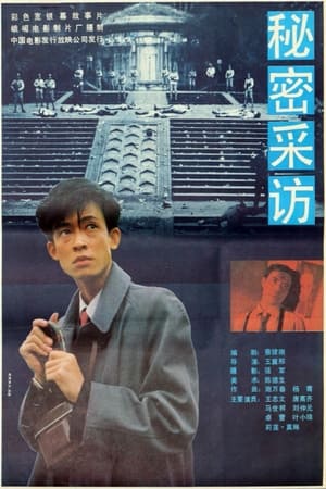 Poster 秘密采访 1989