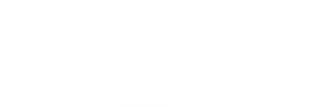덤 머니
