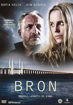 The Bridge: Saison 1