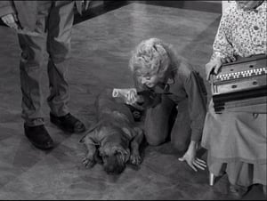 The Beverly Hillbillies Season 1 Episode 22