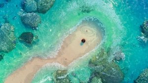 Moana (2016)