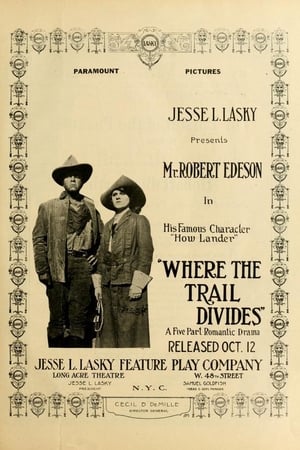 Poster Where the Trail Divides (1914)