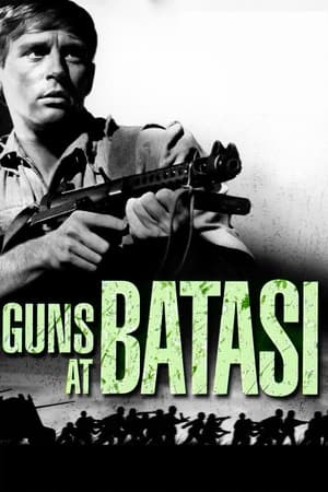 Image Guns at Batasi