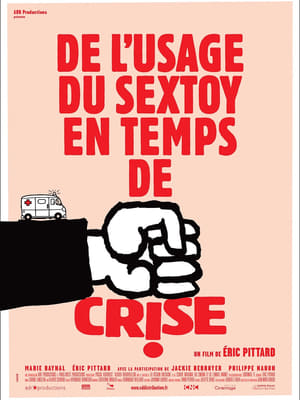 Poster De l'usage du sex toy en temps de crise (2013)