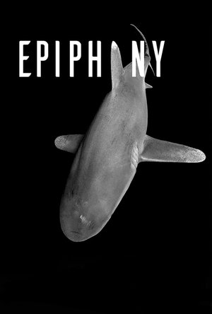 Poster Epiphany (2016)