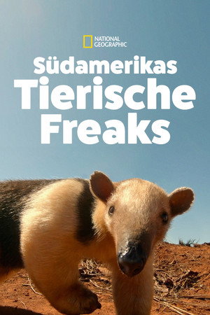 South America's Weirdest Animals