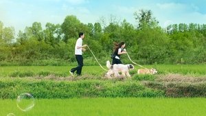 Blossom with Love ( 2023 )