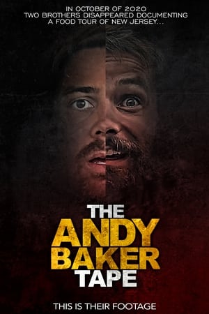 Click for trailer, plot details and rating of The Andy Baker Tape (2021)