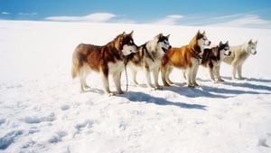 EIGHT BELOW ปฏิบัติการ 8 พันธุ์อึดสุดขั้วโลก (2006)