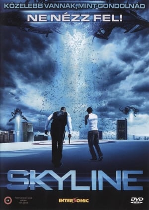 Poster Skyline 2010