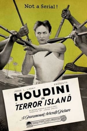 Poster Terror Island (1920)