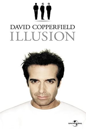 Poster David Copperfield - Illusion 2004