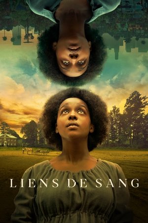 Liens de sang movie poster