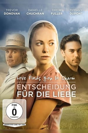 Poster Entscheidung für die Liebe 2015