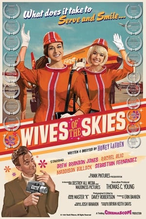 Poster Wives of the Skies (2020)