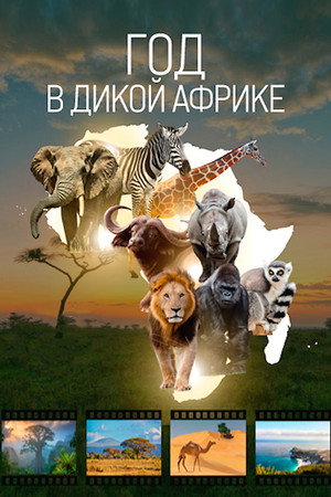 Africa's Wild Year