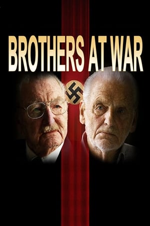 Brothers at War Movie Online Free, Movie with subtitle