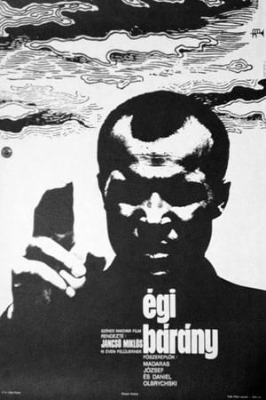 Poster Égi bárány 1971