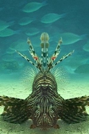 Nonton film Careless Reef part 4: Marsa Abu Galawa (2004) terbaru sub indo Nonton film Careless Reef part 4: Marsa Abu Galawa (2004) terbaru sub indo