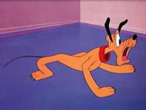 Pluto et Figaro