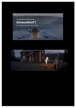 Image Sommarnatt