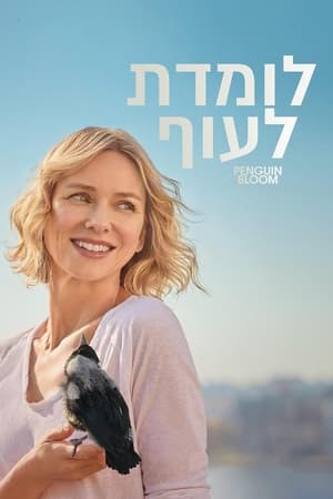 Image לומדת לעוף