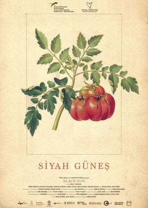 Image Siyah Güneş