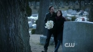 Beauty and the Beast 1 x 20