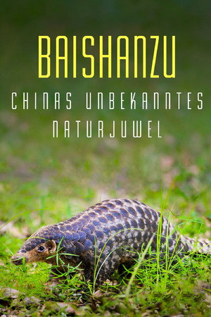 Baishanzu - Chinas unbekanntes Naturjuwel
