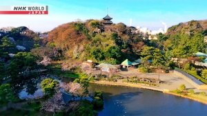 Journeys in Japan: 15×6