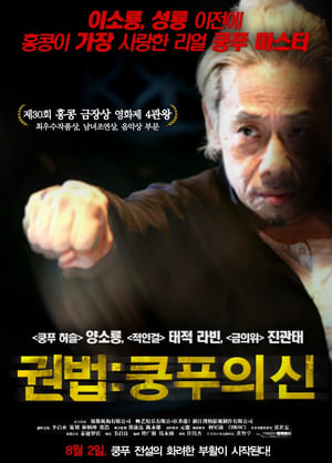 Poster 권법 : 쿵푸의 신 2010