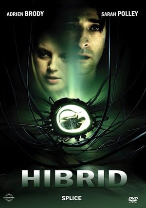 Hibrid 2010