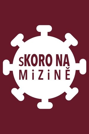 Poster sKORO NA mizině 2020