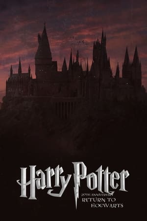 poster Harry Potter 20th Anniversary: Return to Hogwarts