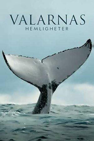 Image Valarnas hemligheter