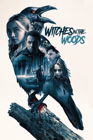 Poster 森林中的女巫 2019