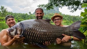 Monster Carp Thailand Special