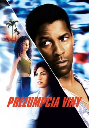 Prezumpcia viny (2003)