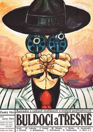 Poster Buldoci a třešně 1981
