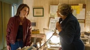 The Americans: 3×9
