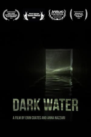 Poster Dark Water 2021