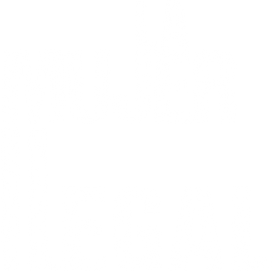 A Mulher Ilegal — Logos 5