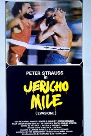 Poster La corsa di Jericho 1980