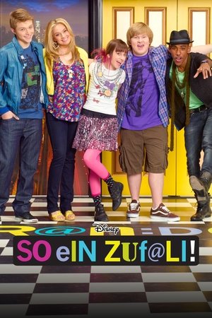 Poster So ein Zufall! Staffel 1 Musikalischer Gast: The New Boyz 2012