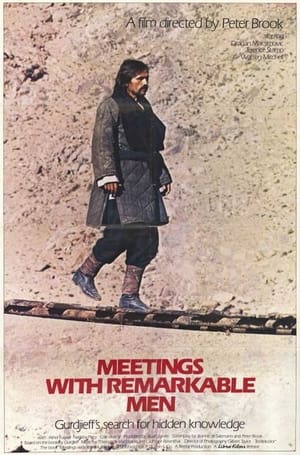 Poster Meetings with Remarkable Men (1979)