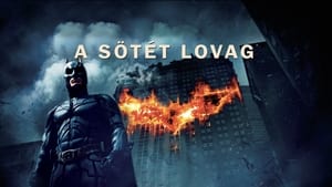 The Dark Knight : Le Chevalier noir